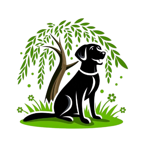 Hondencentrum Blacky